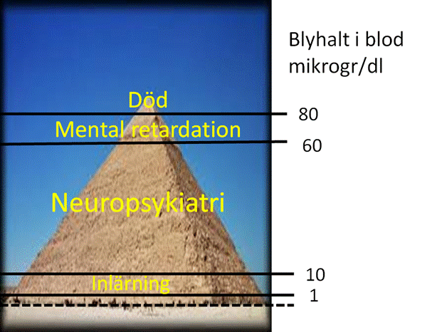 Blyhalt i blod