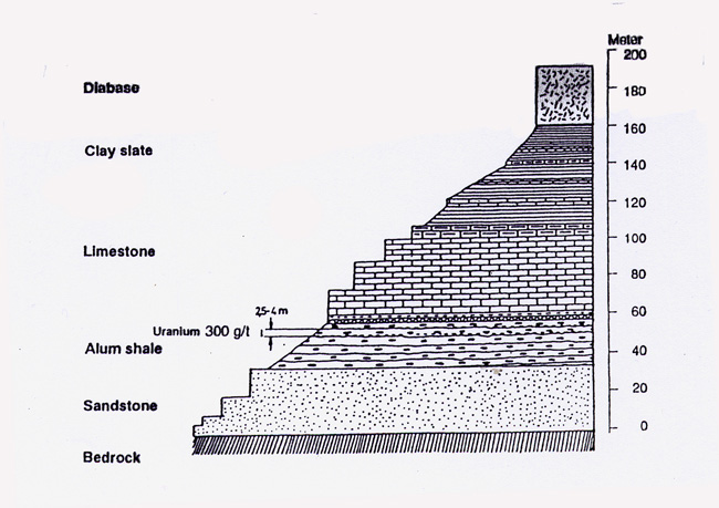 4. A diagram of the layers of sedementary rock at Ranstad.